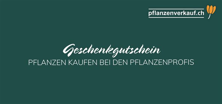 zum Selbstausdrucken