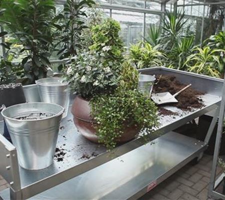 Blumenkübel - Dauerhafte Bepflanzung Blumenkübel - Dauerhafte Bepflanzung