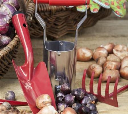 Ordnung im Garten Ordnung im Garten