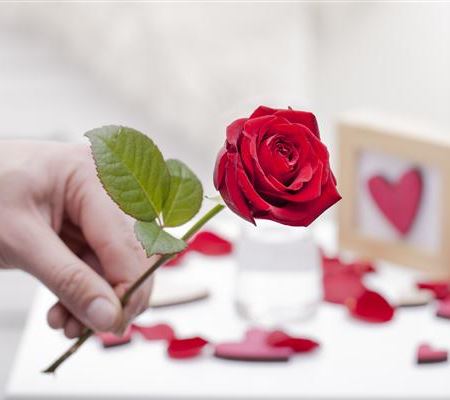 Blühender Valentinstag - für sie und ihn! Blühender Valentinstag - für sie und ihn!