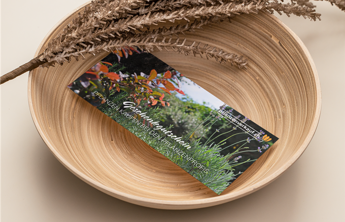 Gutscheine Gutscheine