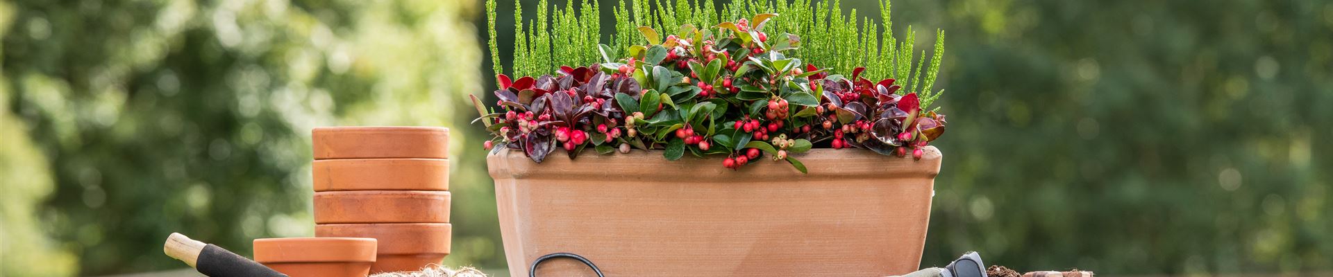 GS673131.jpg GS673131.jpg