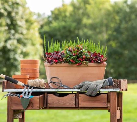 Balkonpflanzen Balkonpflanzen