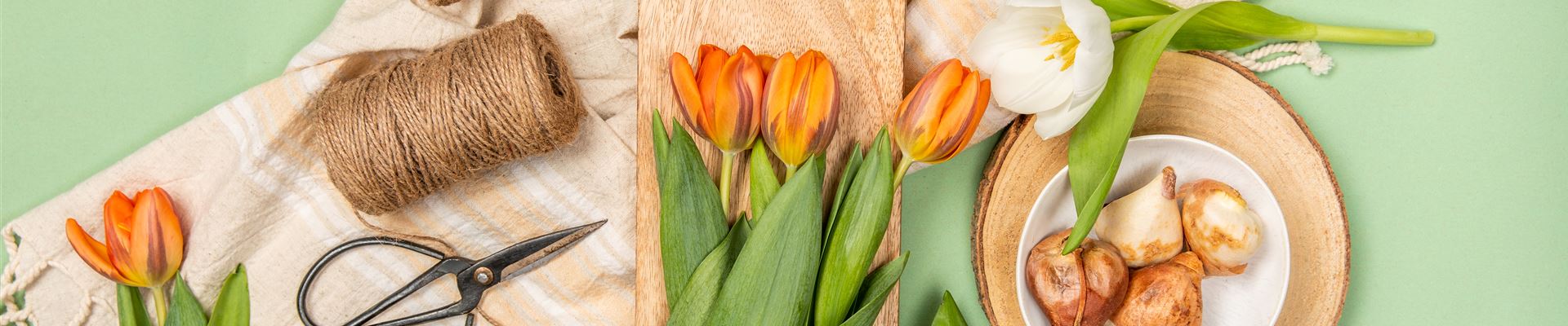 GS702498.jpg GS702498.jpg