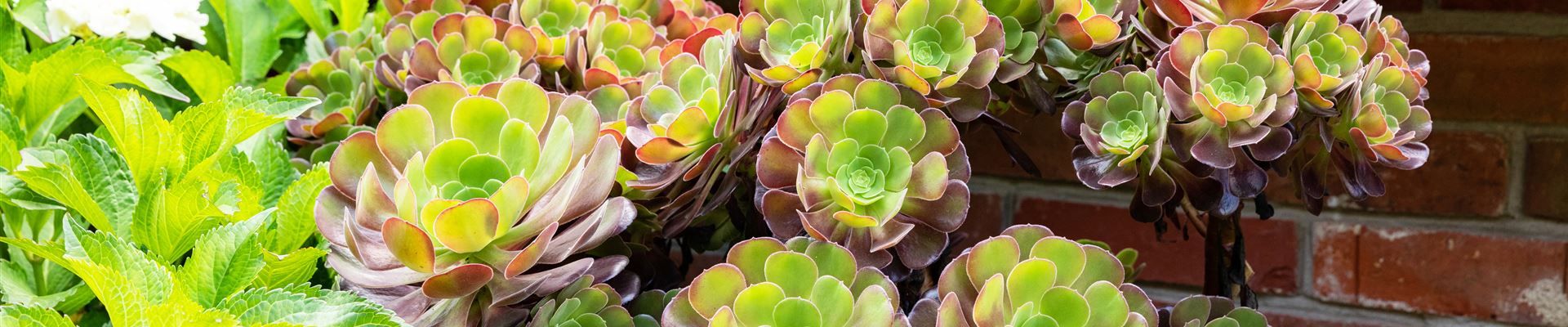 GS671972.jpg GS671972.jpg