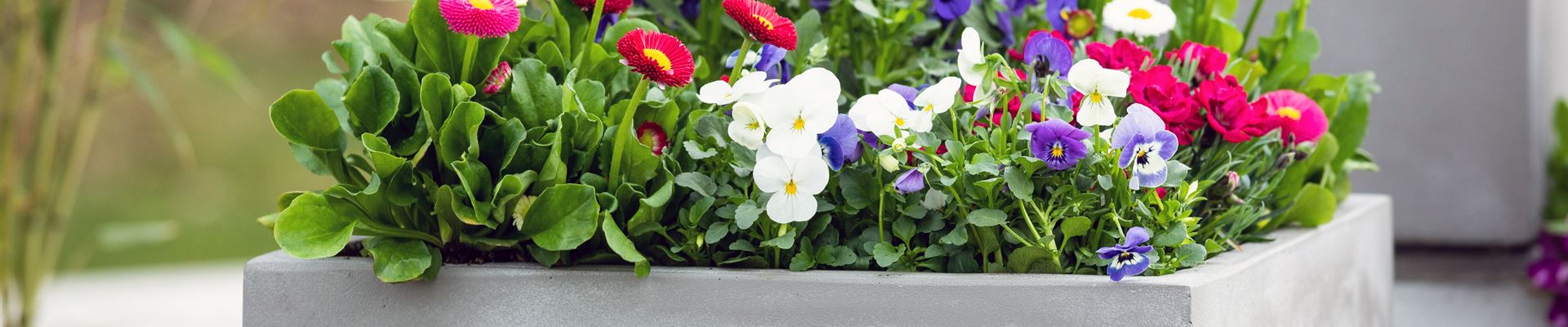 GS729407.jpg GS729407.jpg