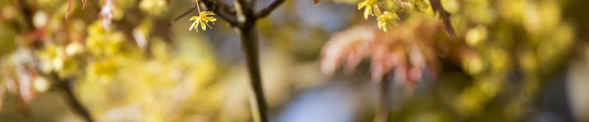 GS489494.jpg GS489494.jpg