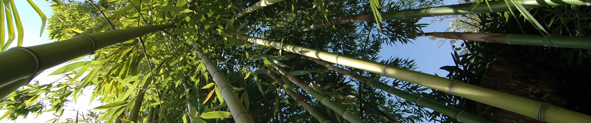 GS635304.jpg GS635304.jpg