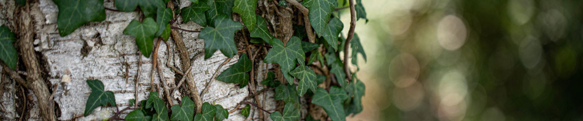 GS644896.jpg GS644896.jpg