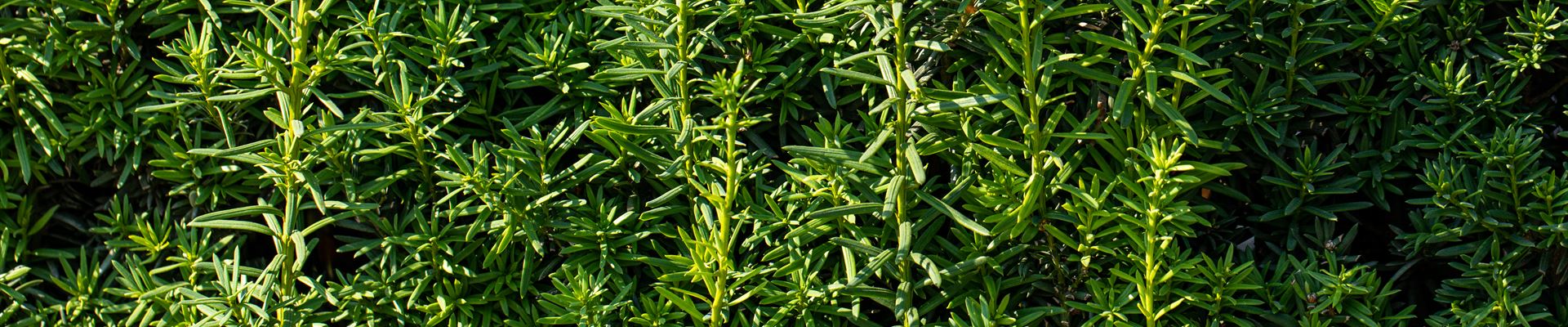 GS670721.jpg GS670721.jpg