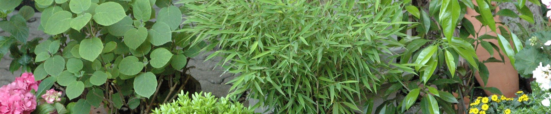 GS621861.jpg GS621861.jpg