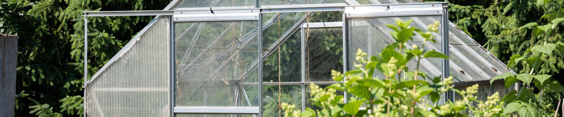 GS667960.jpg GS667960.jpg