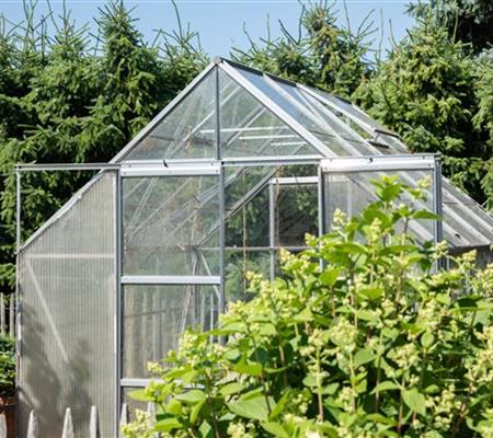 Ein Gewächshaus anlegen Ein Gewächshaus anlegen