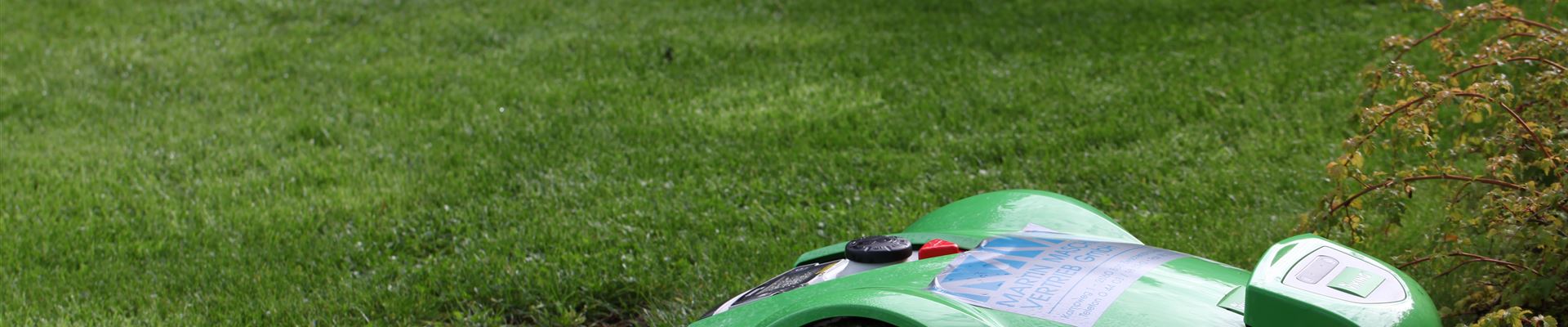 GS428484.jpg GS428484.jpg