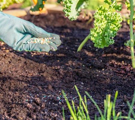 Dünger ist nicht gleich Dünger