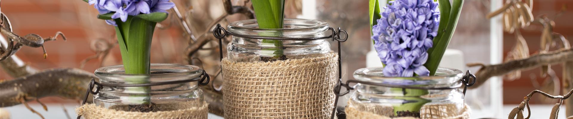 GS603796.jpg GS603796.jpg