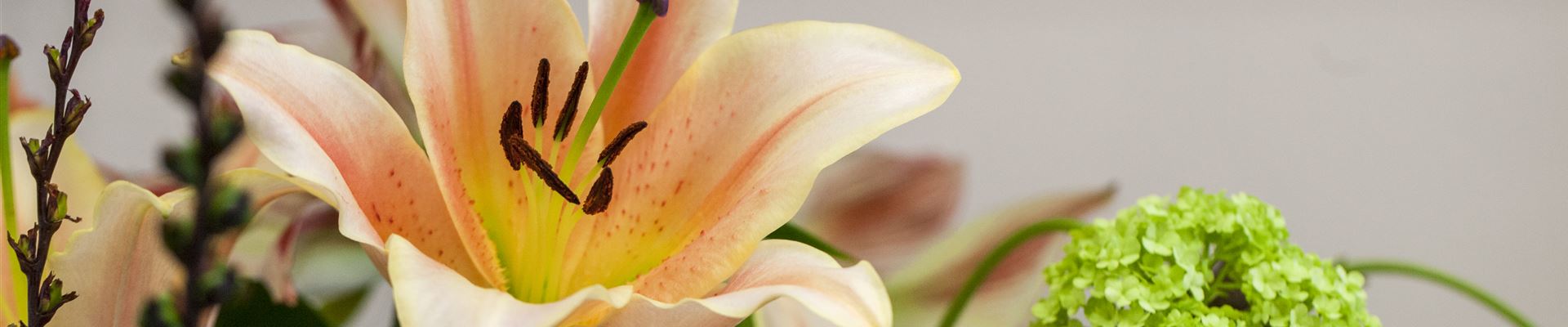 GS515443.jpg GS515443.jpg