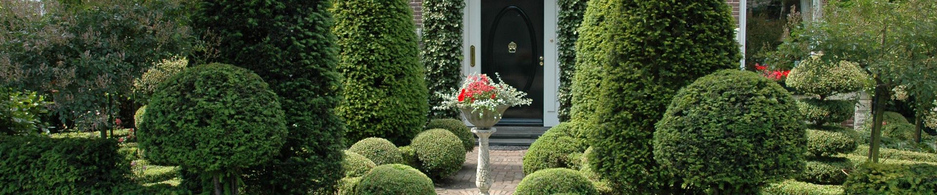 GS615069.jpg GS615069.jpg