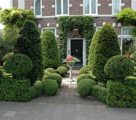 Top in Form – Büsche regelmässig schneiden Top in Form – Büsche regelmässig schneiden