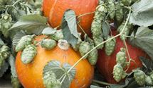 Hopfen