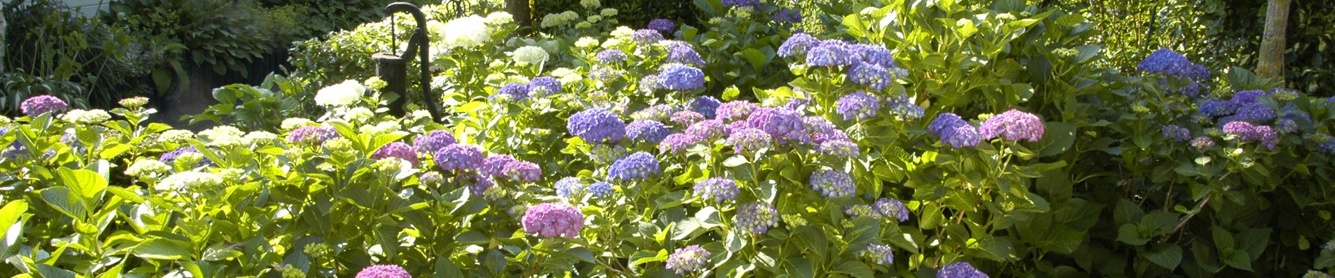 GS619920.jpg GS619920.jpg