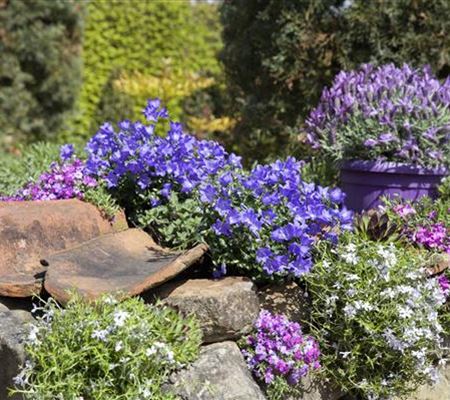 Gartenarbeiten im Mai Gartenarbeiten im Mai