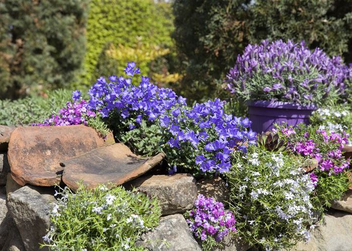 Gartenarbeiten im Mai