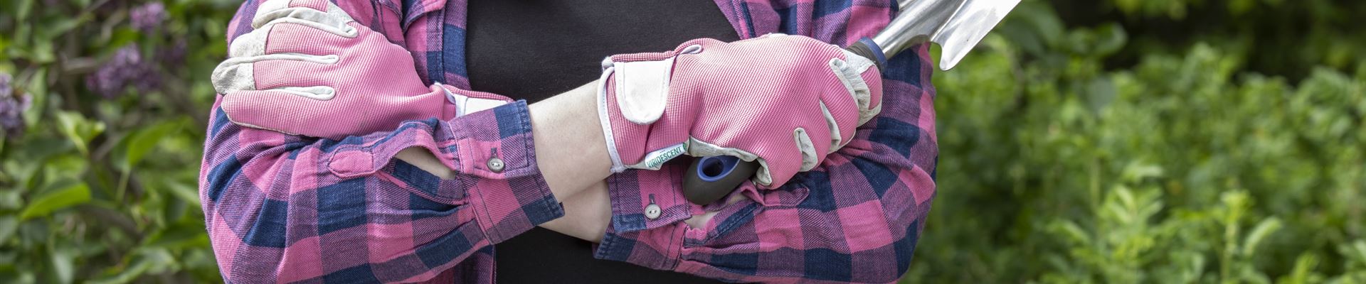 GS619544.jpg GS619544.jpg