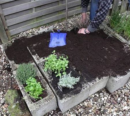 Kräuter - Einsetzen in Pflanzsteine Kräuter - Einsetzen in Pflanzsteine