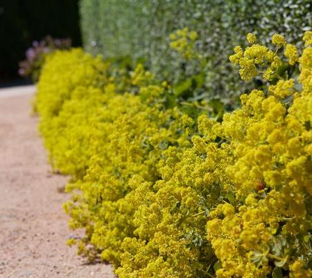 Blackbox-Gardening – die kreative Idee mit den grossen Überraschungseffekten Blackbox-Gardening – die kreative Idee mit den grossen Überraschungseffekten