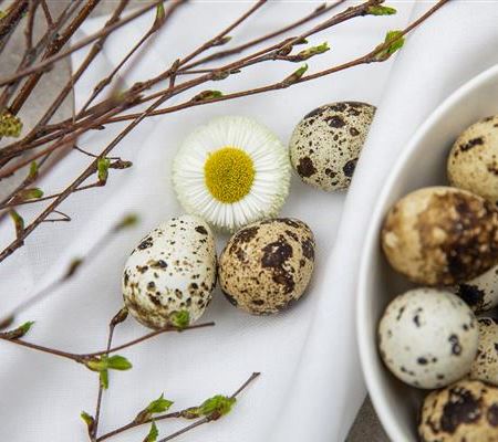 Palmsonntag: grüne Traditionen in der Kirche