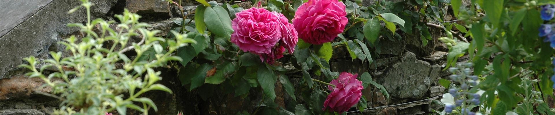 GS621400.jpg GS621400.jpg