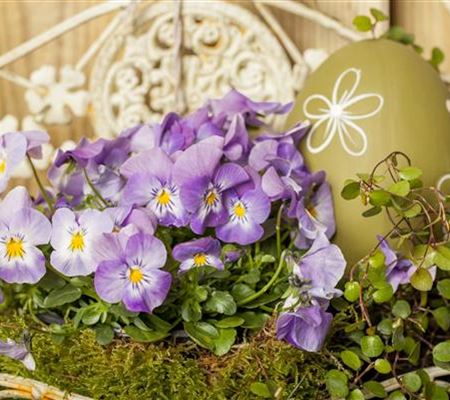 Ein buntes Osterfest mit den passenden Frühlingsboten Ein buntes Osterfest mit den passenden Frühlingsboten