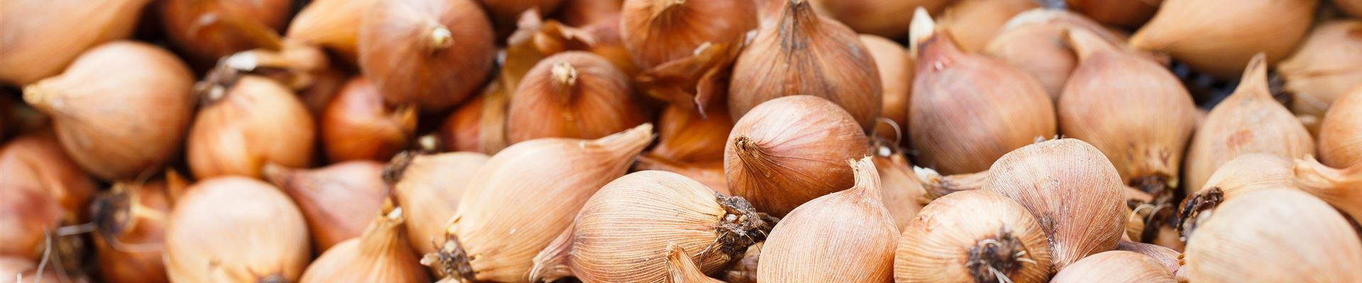 GS591000.jpg GS591000.jpg