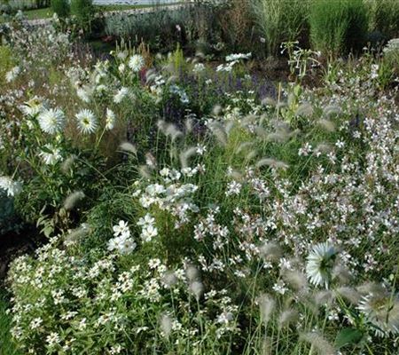 Ganz in Weiss – elegante Gartengestaltung mit Stil Ganz in Weiss – elegante Gartengestaltung mit Stil