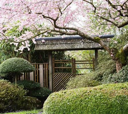 Ruhe und Erholung im japanischen Garten