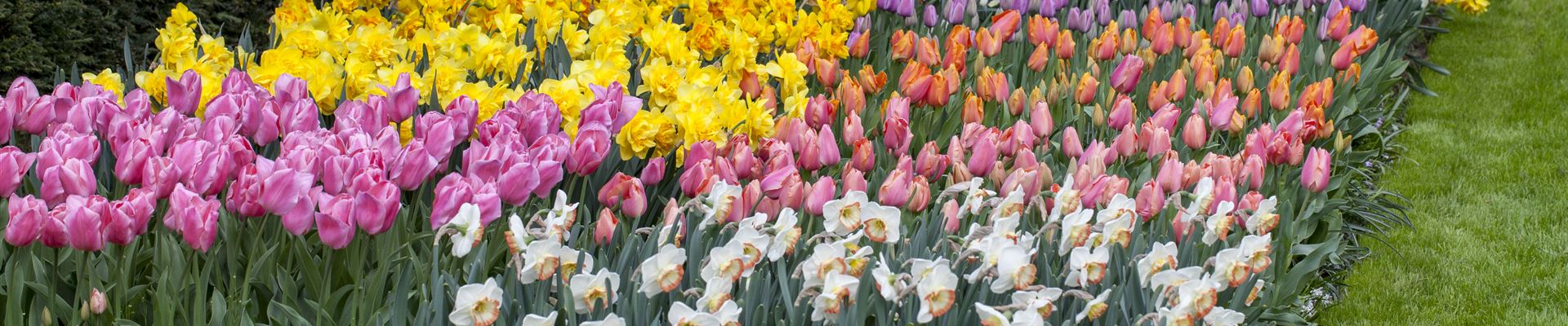 GS424223.jpg GS424223.jpg