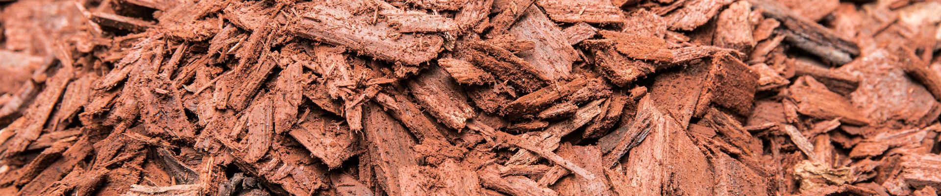 GS527692.jpg GS527692.jpg