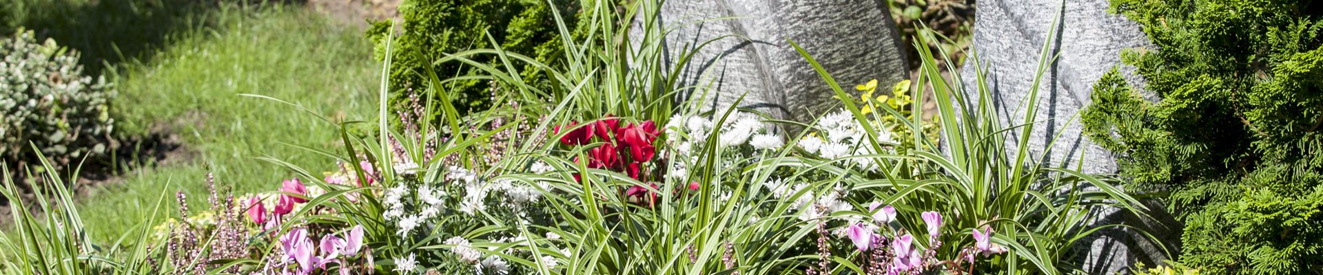 GS502947.jpg GS502947.jpg