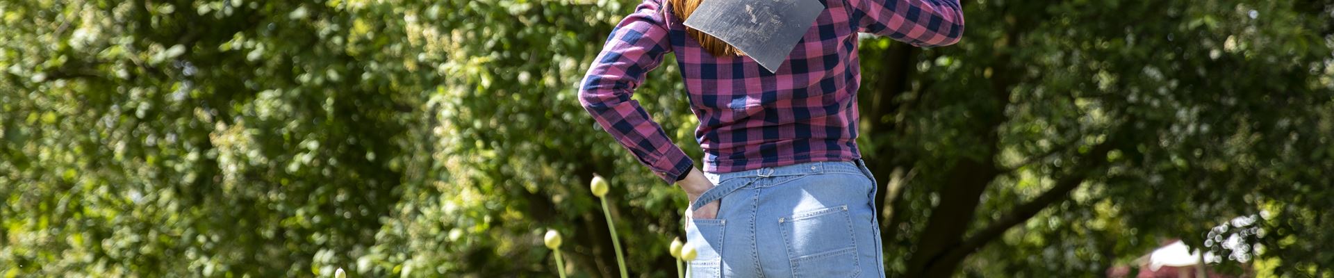 GS619863.jpg GS619863.jpg