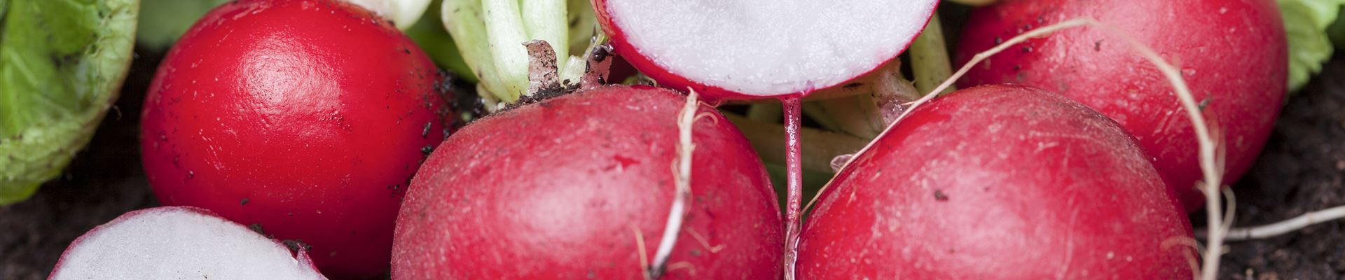 GS457326.jpg GS457326.jpg