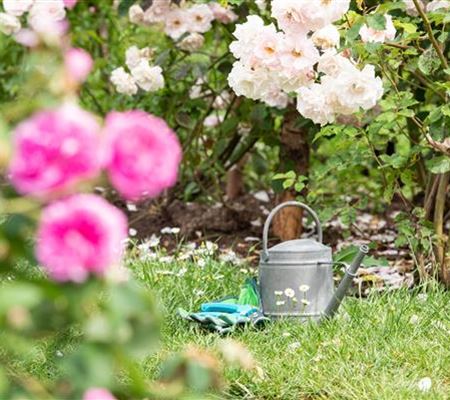 Bewässerungsanlagen im Garten – entspannt sitzen statt schwitzen Bewässerungsanlagen im Garten – entspannt sitzen statt schwitzen