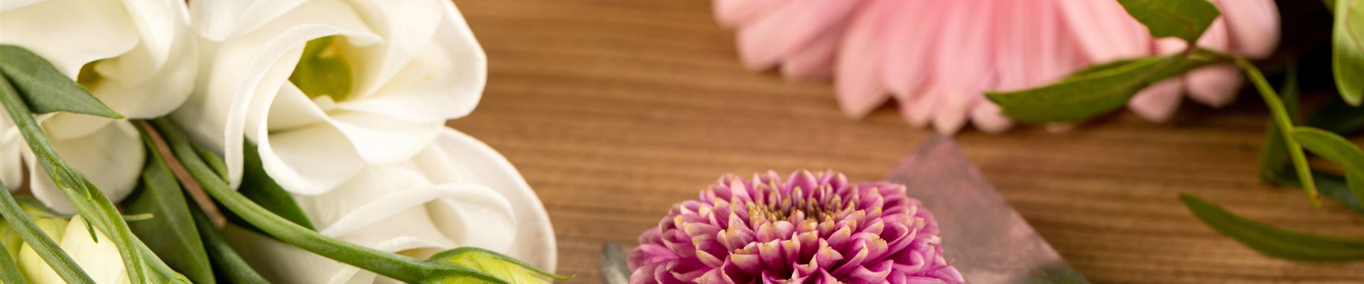 GS657551.jpg GS657551.jpg