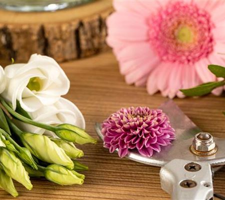 Schnittblumen - was hilft wirklich? Schnittblumen - was hilft wirklich?