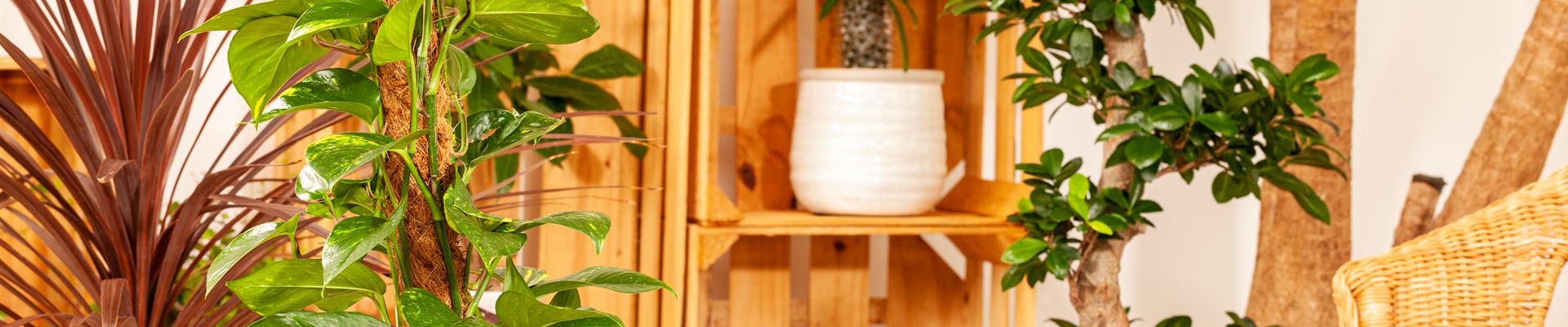 GS658416.jpg GS658416.jpg