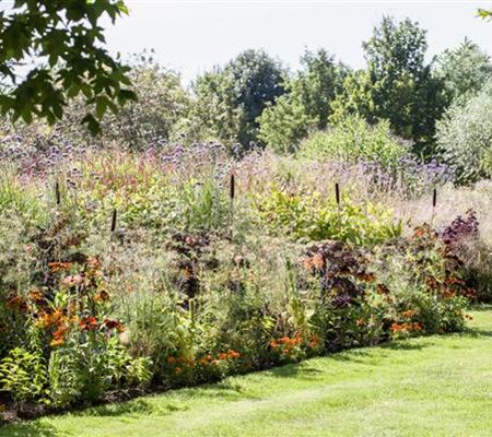 Pflegeleichter Garten: Wohlfühloase trotz wenig Zeit