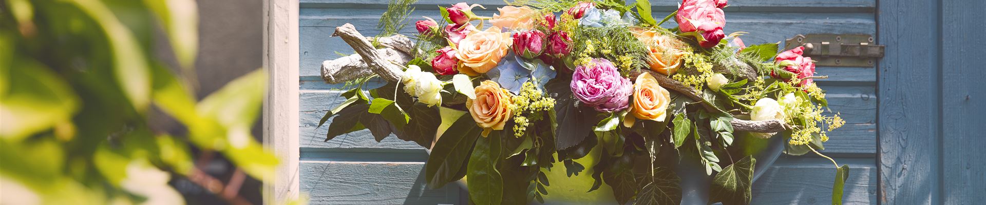 GS495834.jpg GS495834.jpg