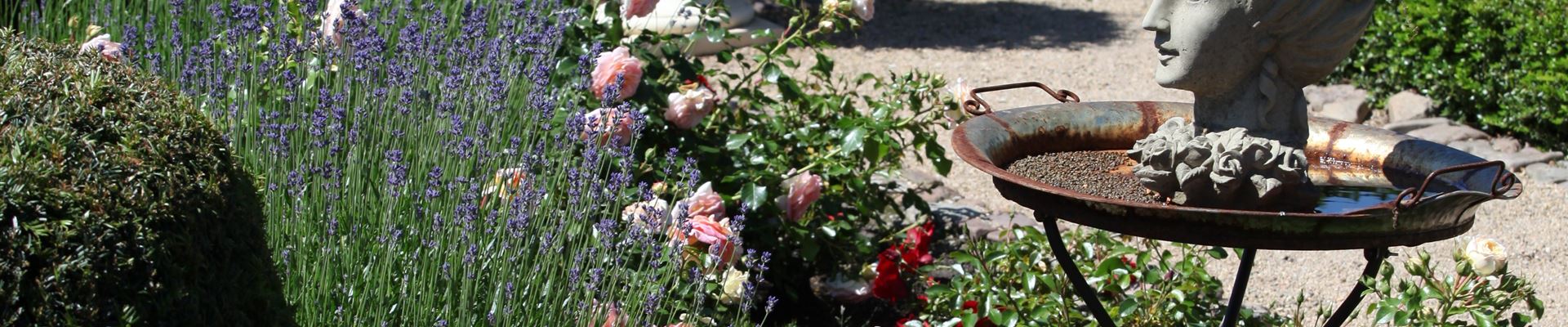 GS444911.jpg GS444911.jpg