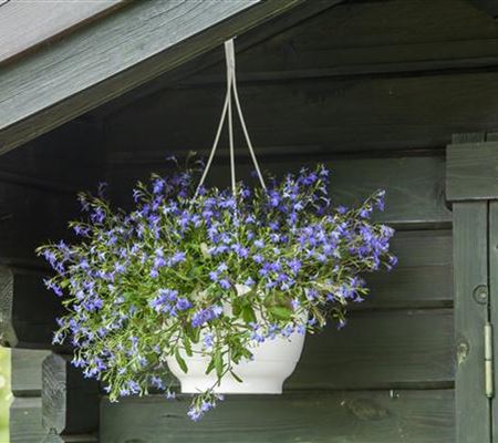 Einen Fahrradschuppen selbst bauen Einen Fahrradschuppen selbst bauen