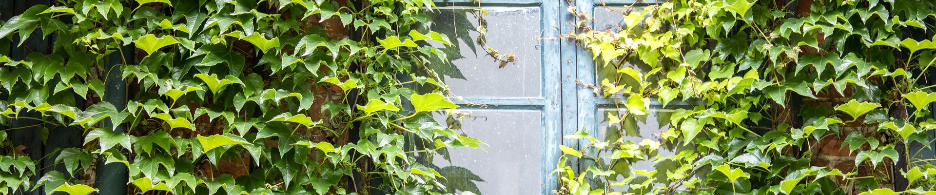 GS622432.jpg GS622432.jpg